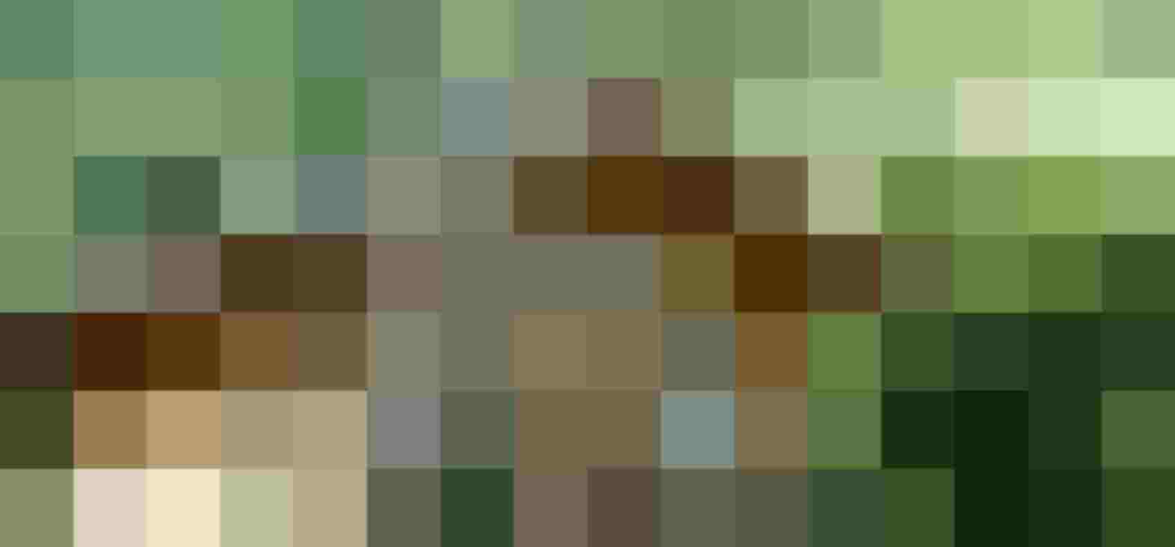 Cozy Wooden Chalet in Uttendorf, Surrounded by Green Meadows and Mountains, Ideal for your Holiday.