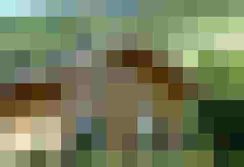 Gemütliches Holzchalet in Uttendorf, umgeben von grünen Wiesen und Bergen, ideal für Ihren Urlaub.